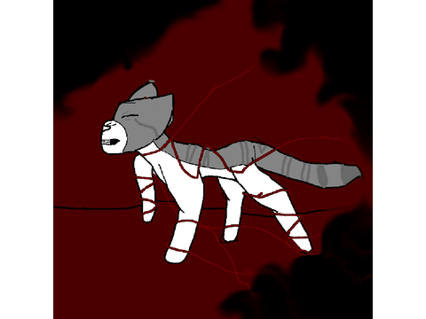 Should I do this MAP??