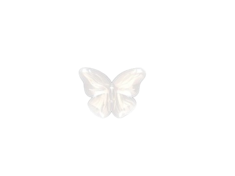 ~bnnr-entryy~