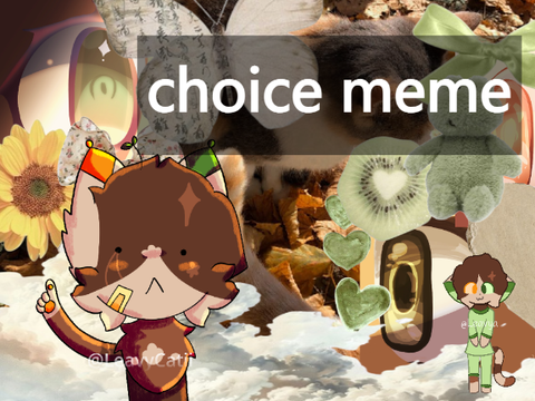  …choice meme