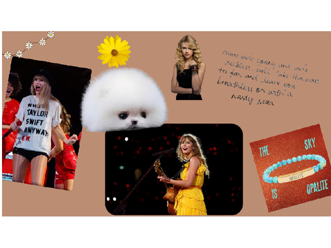 Gift 4 @SwiftieBigBrain13
