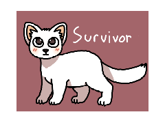I drew the slugcats!