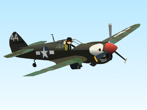 P40- Warhawk art 