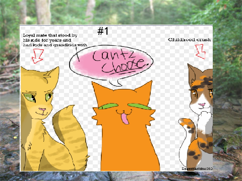 Warrior cat memes!