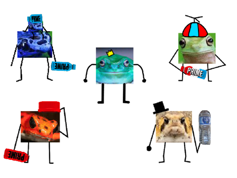 THE FROG SQUAD