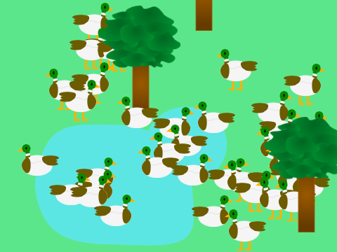 Running ducks!!!