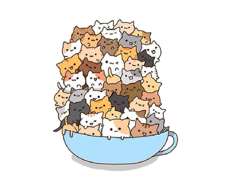 Remix if you love cats!!!!! remix remix remix remix