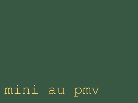 Half return<—————<< mini au pmv