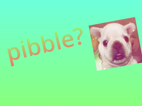 pibble?