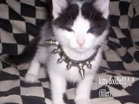 ☆ kitty doodle ^_^ (filler)