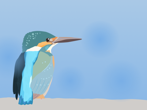カワセミ　KingFisher