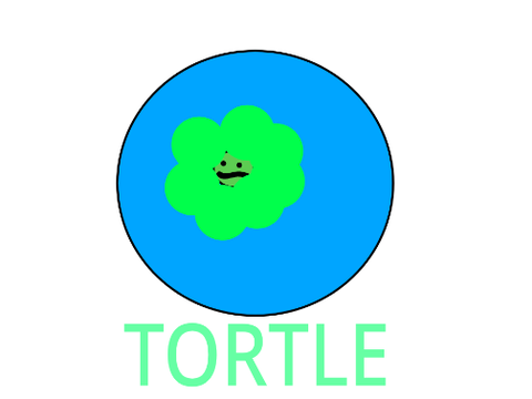 my entry