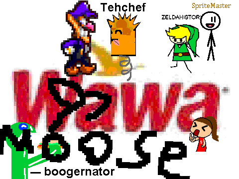 Add_Yourself_Dancing_To_The_Wawa_Hoagie_Song![1]