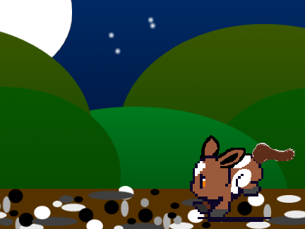 Night Time Horse Run