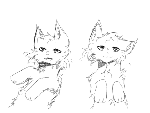 WIP