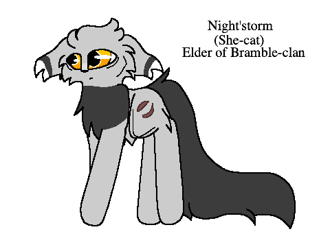 Night'storm