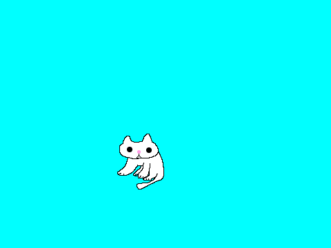 my pet cat-2
