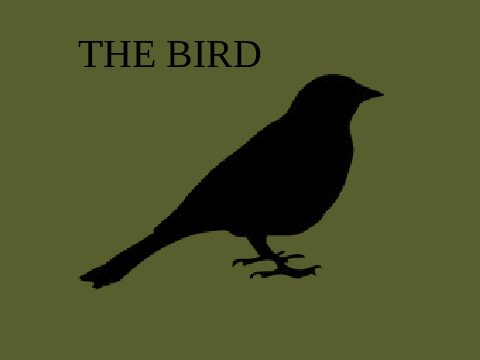 " THE BIRD " aconite application