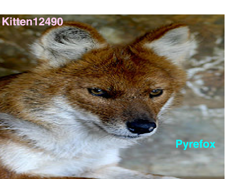 SIGN AND REMIX IF YOUR AGAINST FOX HUNTING!! remix
