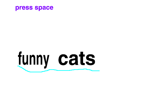 funny cat????