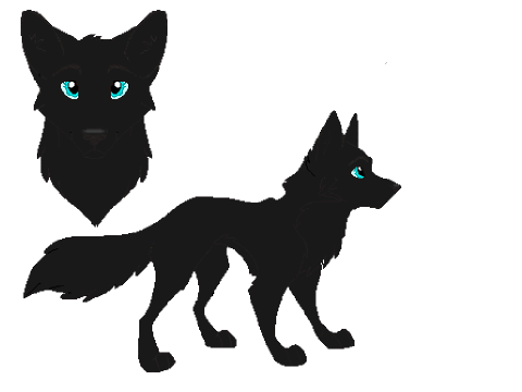 My wolf Night