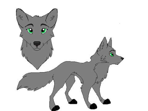 My wolf Moon