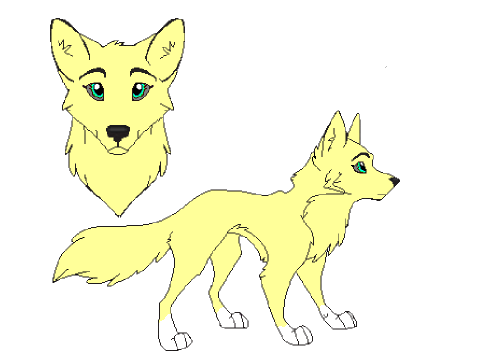 My wolf Summer