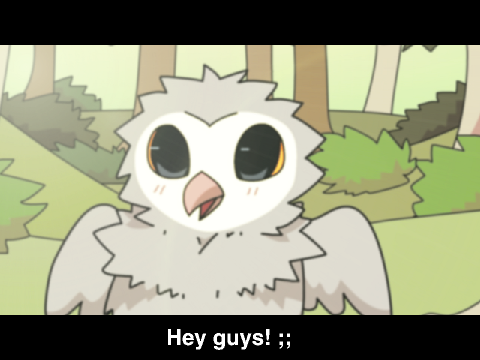 Test Animation