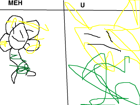 HOW DU MEE ARET FLOWEE 