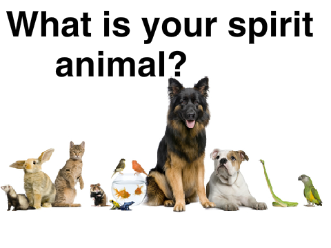 What is your spirit animal?