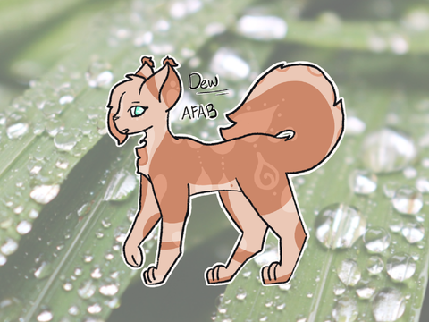 »»-———ᴅᴇᴡᴅʀᴏᴘꜱ ᴀɴᴅ ʀᴀɪɴ———-«« [Dewkit's WIP bio]
