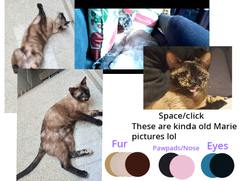 MAH BABIES (Cat references lol)
