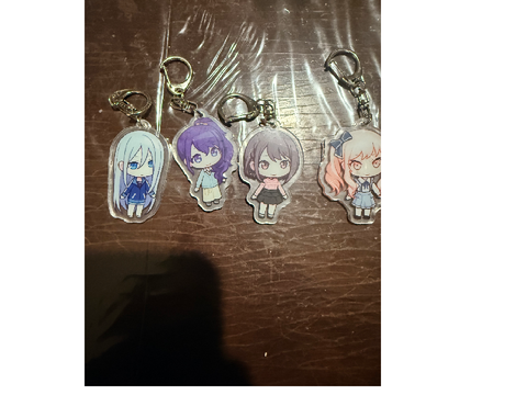 n25 keychains. ok.