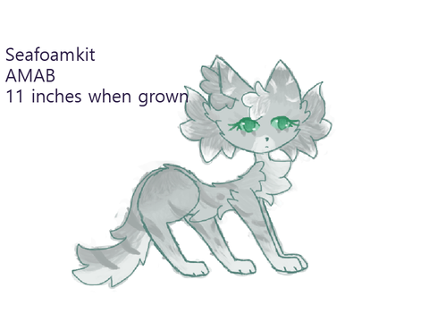 ⋆ ˚｡⋆Seafoamear storage ⋆ ˚｡⋆ 