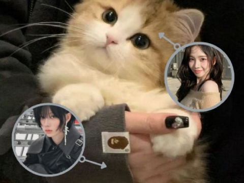 MEEEEOOOOOOOOWWWWW