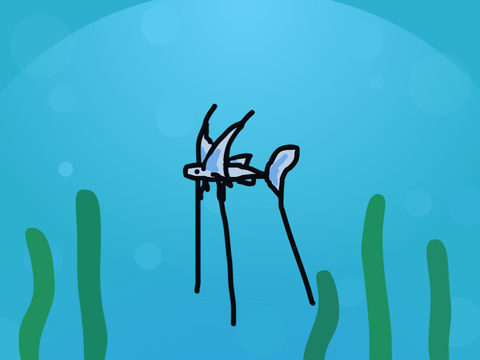 my fish