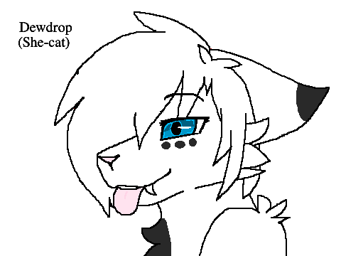 Random group of cats 