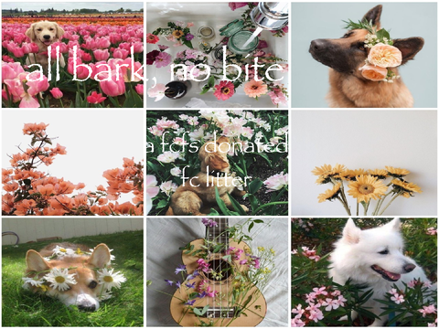 (CLOSED)【 all bark, no bite 】a FCFS donated FC litter