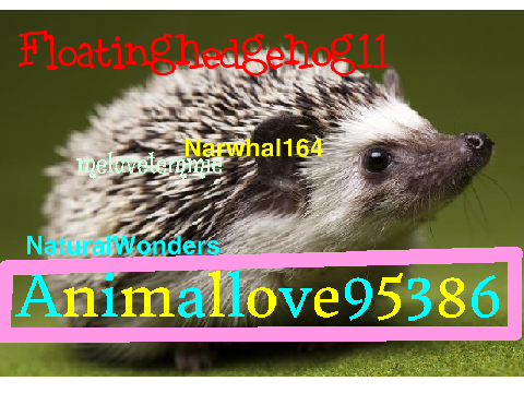 SIGN TO STOP PETA FROM TAKING POOR ADORABLE HEDGIES! remix remix remix-2 remix