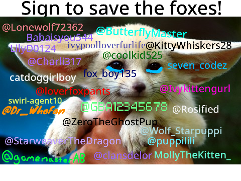 STOP HUNTING FOXES!!! remix remix remix remix