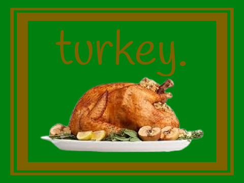 turkey.