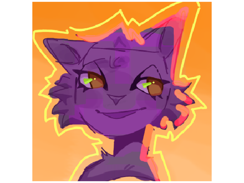 new program new pfp