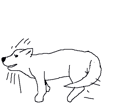 Animation Test-Dog Chasing Tail