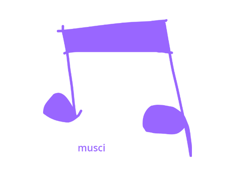 my musics