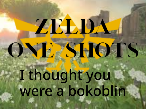 <I thought you were a bokoblin> ZOS