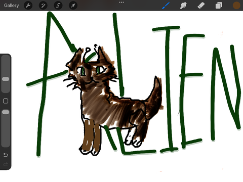NEW OC!!!!!!!!