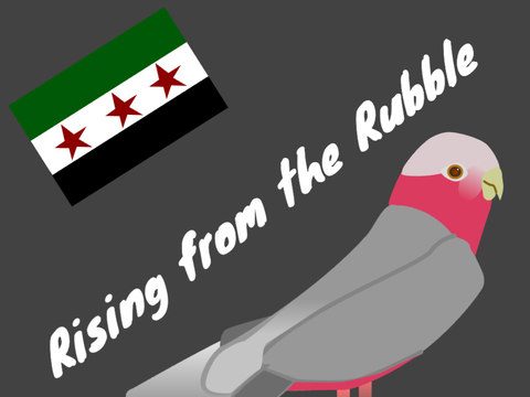 Rising from the Rubble