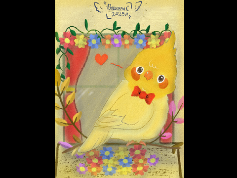 ‖ cockatiel on a windowsill .°