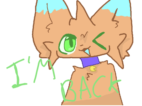 I'M BACK FROM MY BREAK