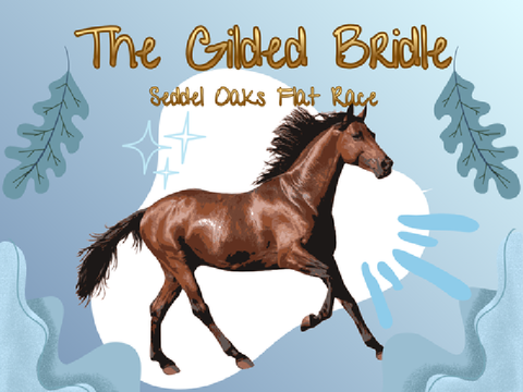 TGB – Seddel Oaks Flat Racing 