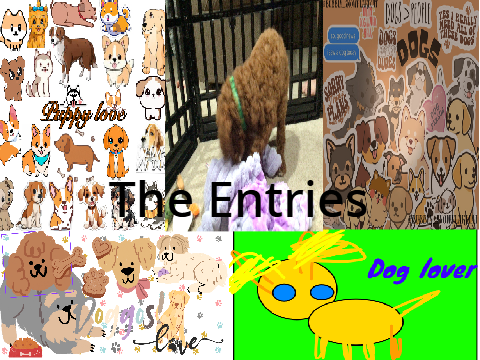 puppy banner/photos winners